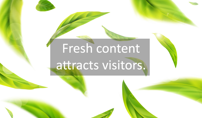 Fresh Content Attracts Visitors, upload new content regularly