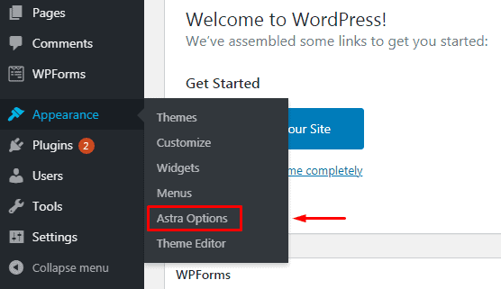Click Astra Options in WordPress
