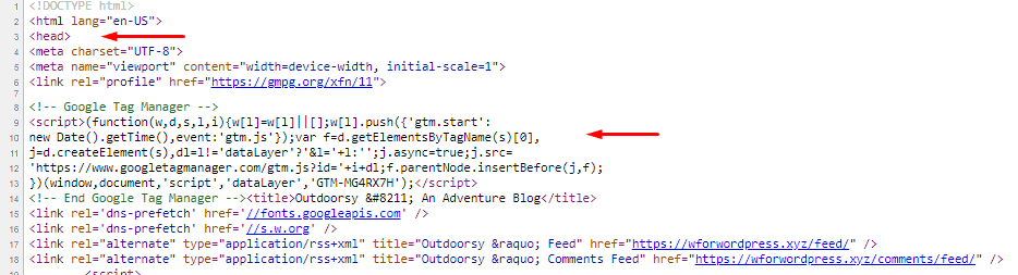 Google tag manager head code in page source code